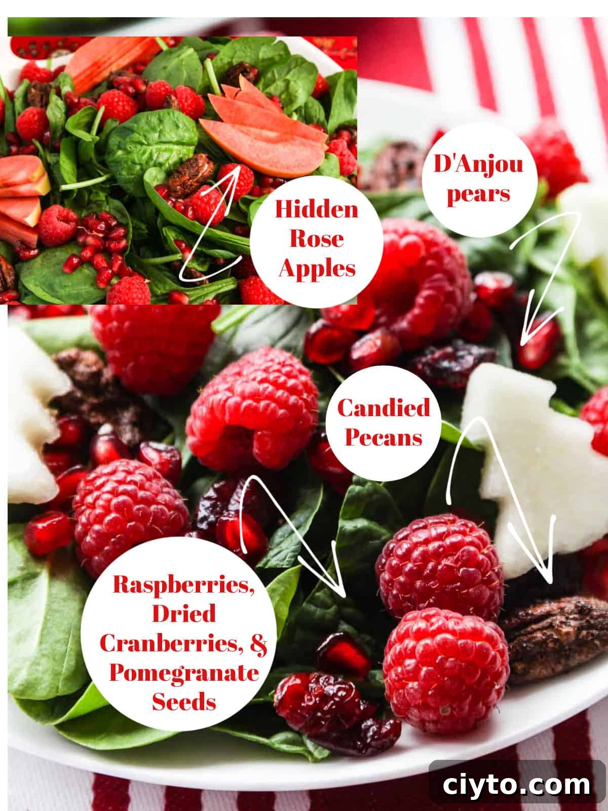 Holiday Salad