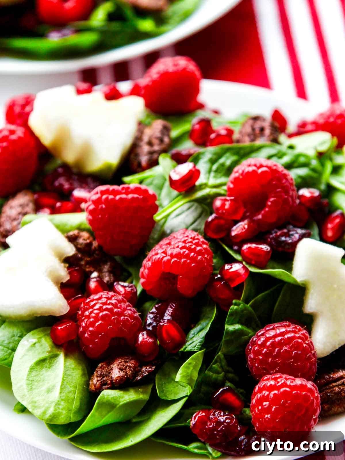 Holiday Salad with Pomegranate Mason Jar Dressing
