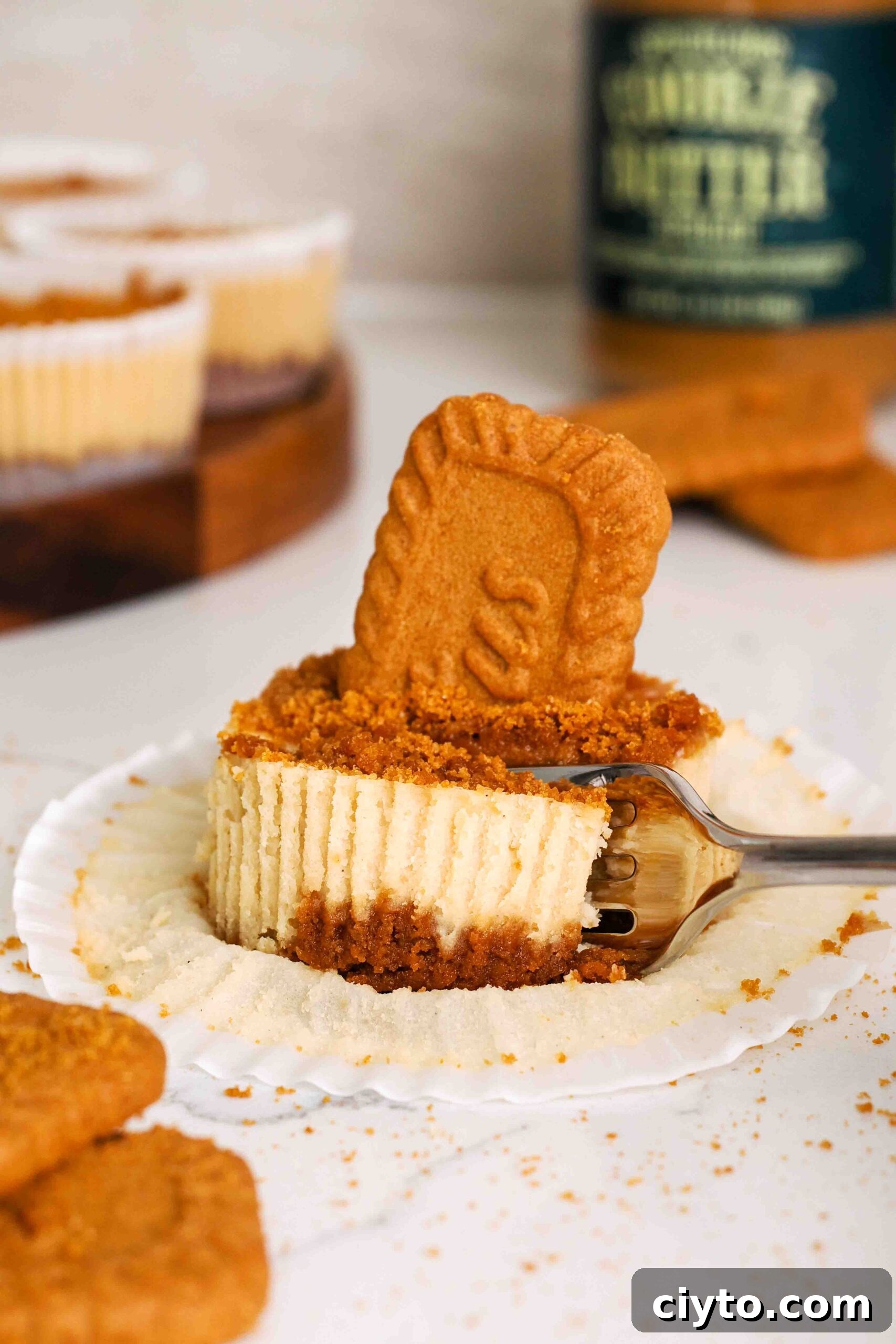 Mini Biscoff Cheesecakes Recipe with Cookie Butter Crust 2 A fork cuts into a mini Biscoff cheesecake on a counter.