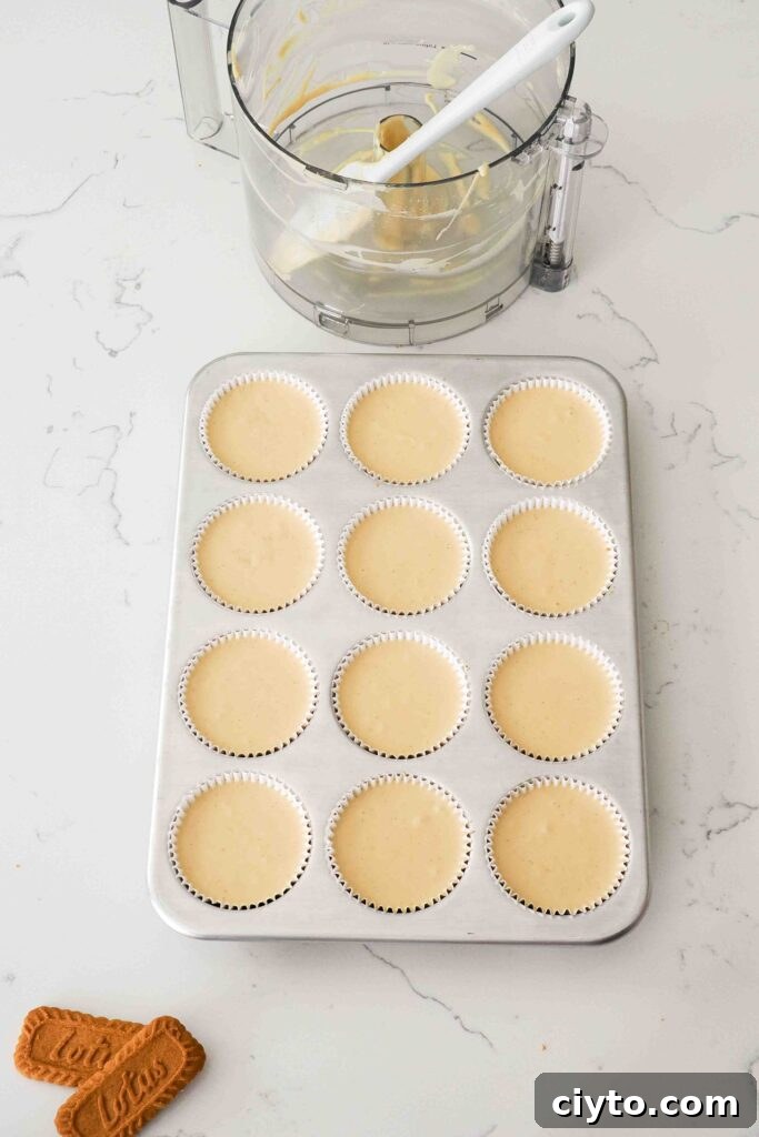 Mini Biscoff Cheesecakes Recipe with Cookie Butter Crust 13 Unbaked Biscoff cheesecakes in a muffin pan.
