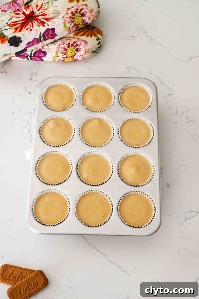 Mini Biscoff Cheesecakes Recipe with Cookie Butter Crust 14 Baked Biscoff cheesecakes cooling on a quartz counter.