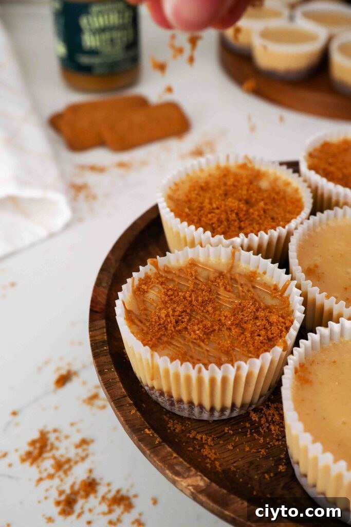 Mini Biscoff Cheesecakes Recipe with Cookie Butter Crust 17 A hand sprinkles Biscoff biscuit crumbs onto a mini Biscoff cheesecake.