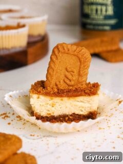 Mini Biscoff Cheesecakes Recipe with Cookie Butter Crust 20 A mini Biscoff cheesecake on a paper liner is cut in half. There is half of a Biscoff cookie sticking out of it.