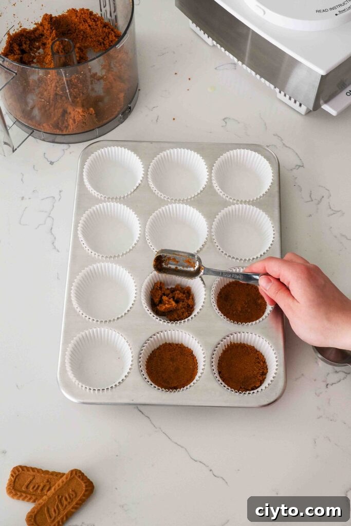 Mini Biscoff Cheesecakes Recipe with Cookie Butter Crust 6 A hand adds cookie crumbs to paper liners in a muffin pan.