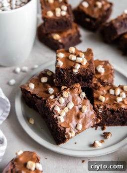 plate with pile of hot chocolate brownies with mini marshmallow bits and dusting of cocoa powder.