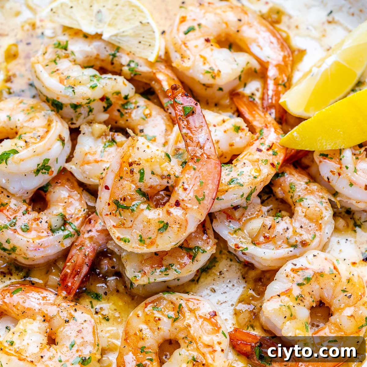 Garlic Butter Shrimp Recipe with Lemon and Parsley 11 img 35991 10