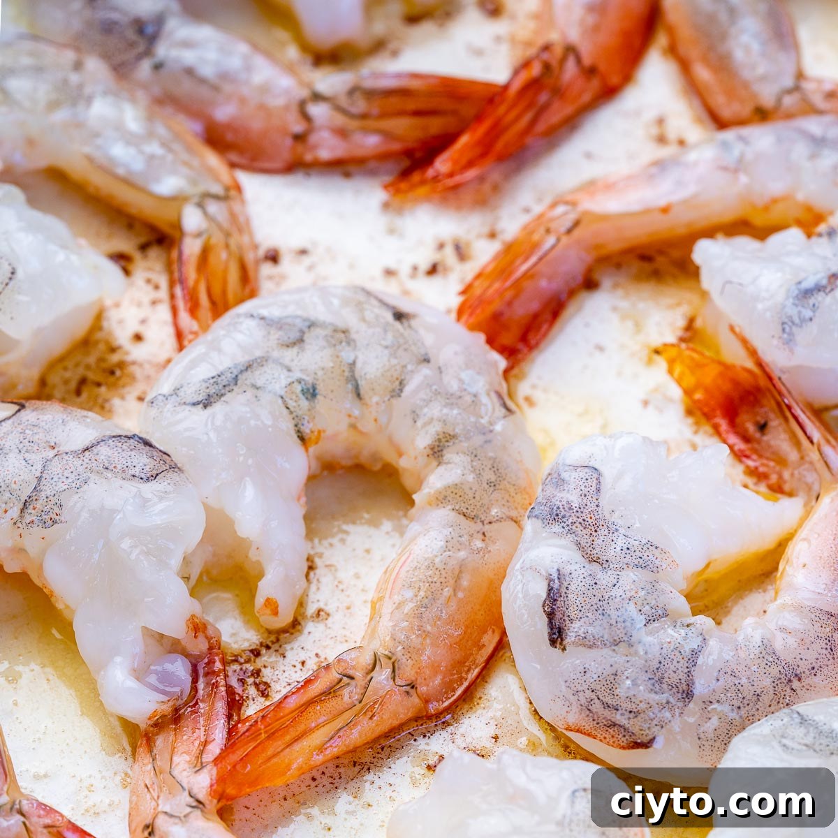 Garlic Butter Shrimp Recipe with Lemon and Parsley 6 img 35991 5