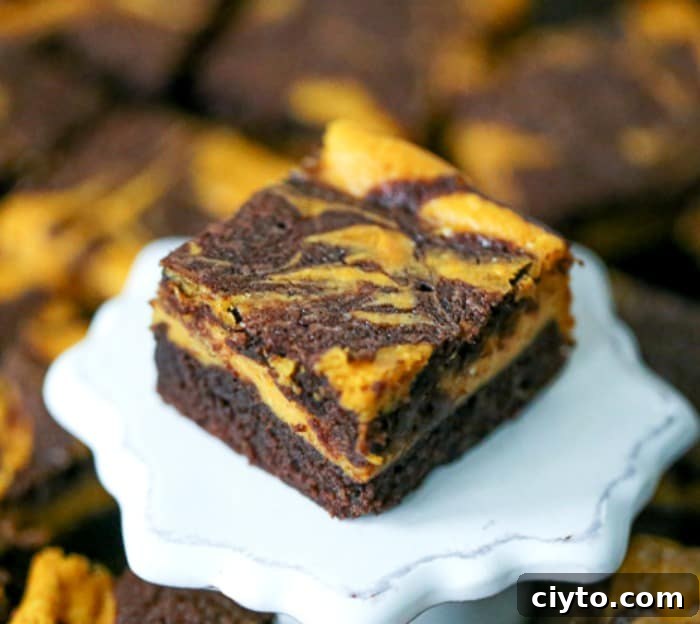 Fudgy Pumpkin Cheesecake Swirl Brownies 2 Pumpkin Cheesecake Swirl Brownies