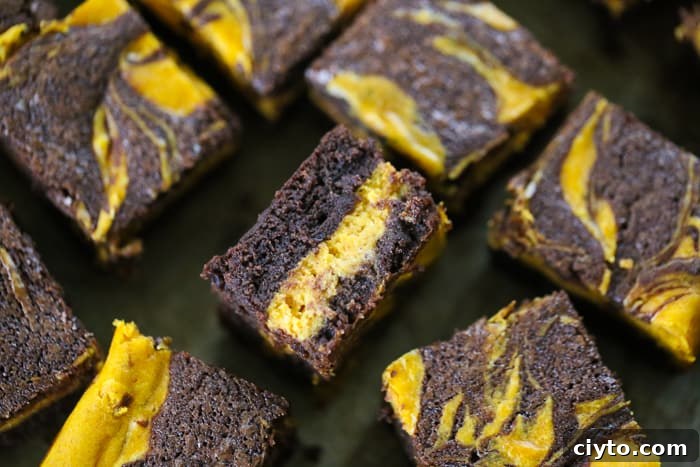 Fudgy Pumpkin Cheesecake Swirl Brownies 5 Pumpkin Cheesecake Swirl Brownie recipe