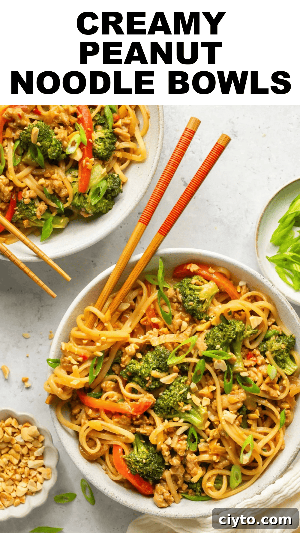 Creamy Peanut Chicken Noodles 6 img 38573 15