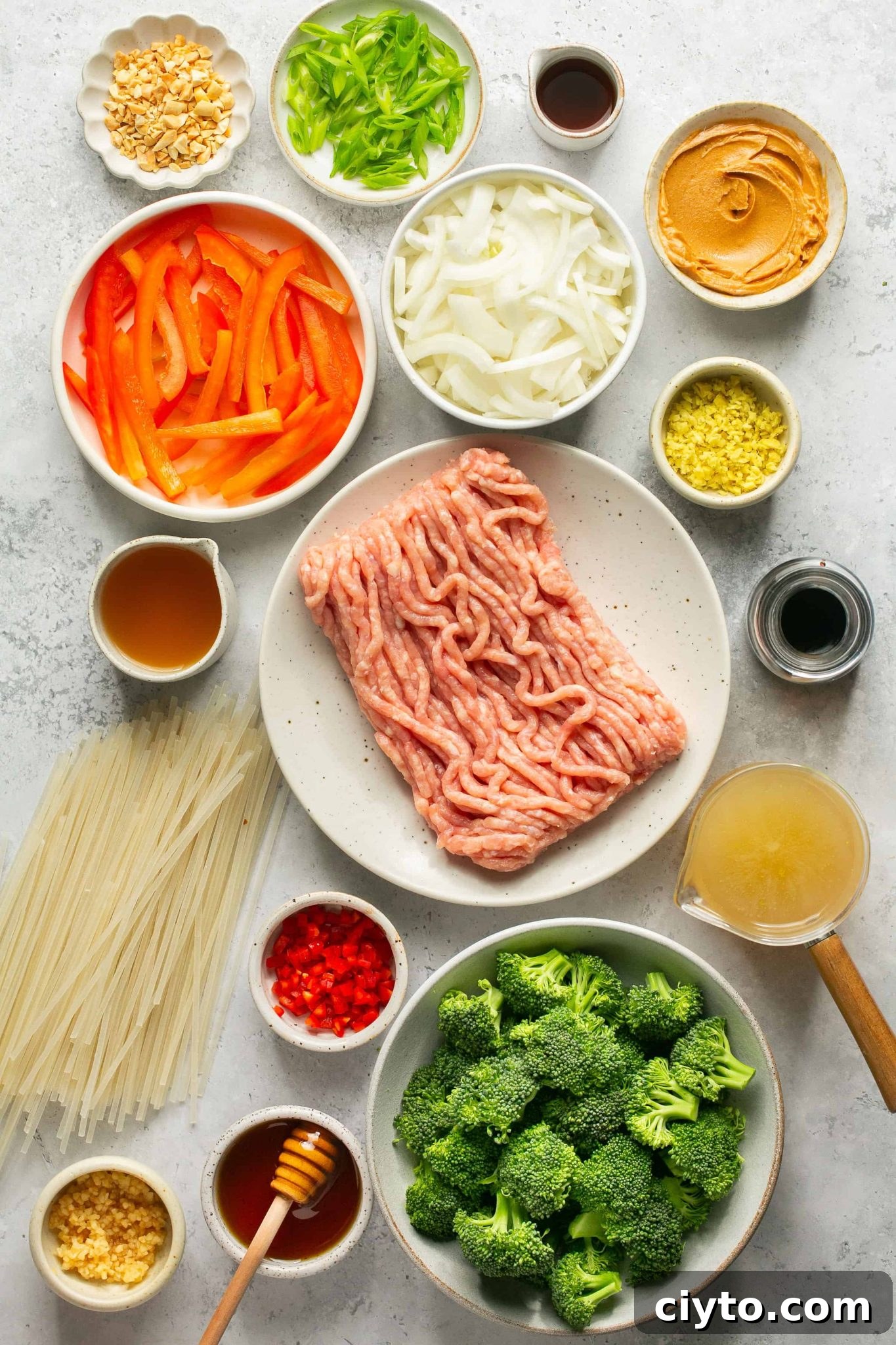 Creamy Peanut Chicken Noodles 2 img 38573 4