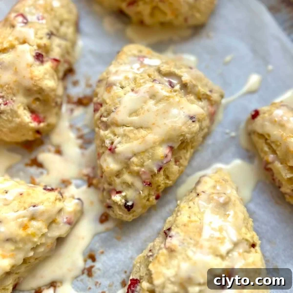 Lemon Poppy Seed Sourdough Scones Recipe 12 Cranberry orange sourdough scones drizzled with glaze on parchment paper.