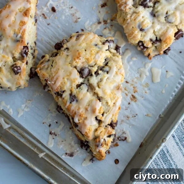 Lemon Poppy Seed Sourdough Scones Recipe 13 Sourdough chocolate chip scone, surrounded by other scones, on a baking sheet on parchment paper and drizzled with vanilla glaze.