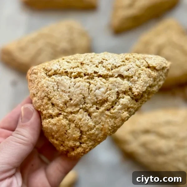 Lemon Poppy Seed Sourdough Scones Recipe 14 A golden brown, freshly milled sourdough scone is held up by a hand.