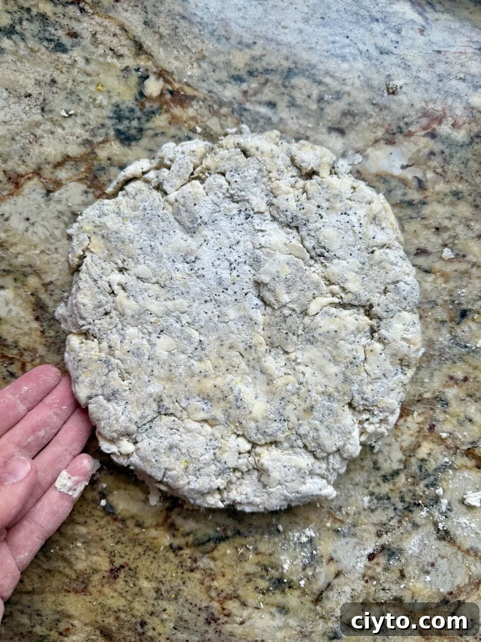 Lemon Poppy Seed Sourdough Scones Recipe 6 A round disc of scone dough is on the counter with a hand touching part of the edge.