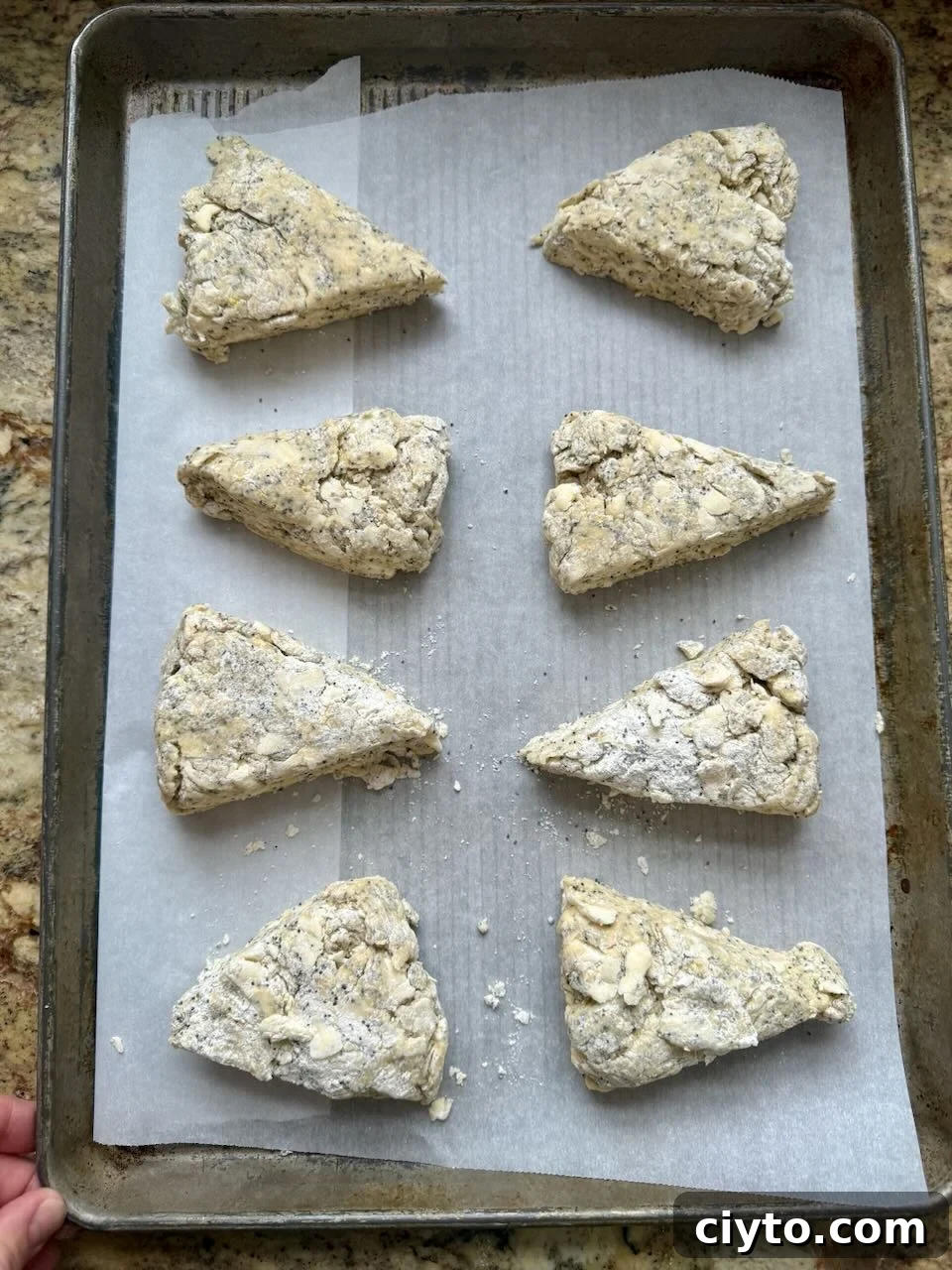 Lemon Poppy Seed Sourdough Scones Recipe 7 A baking sheet has parchment paper and eight triangles of scones sitting on it.