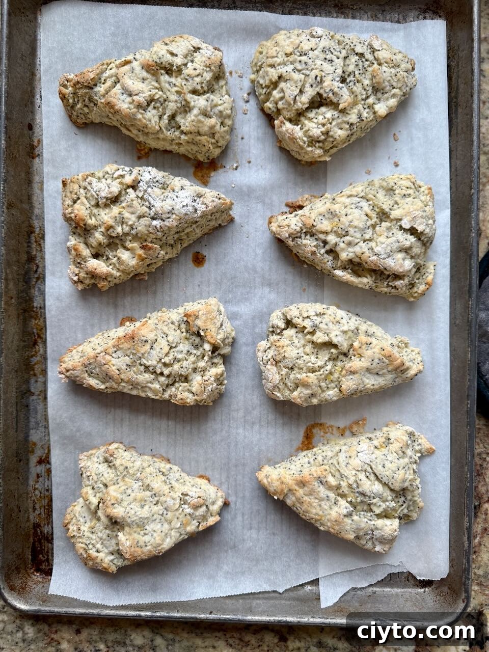 Lemon Poppy Seed Sourdough Scones Recipe 8 A baking sheet has parchment paper and of eight baked sourdough scones.