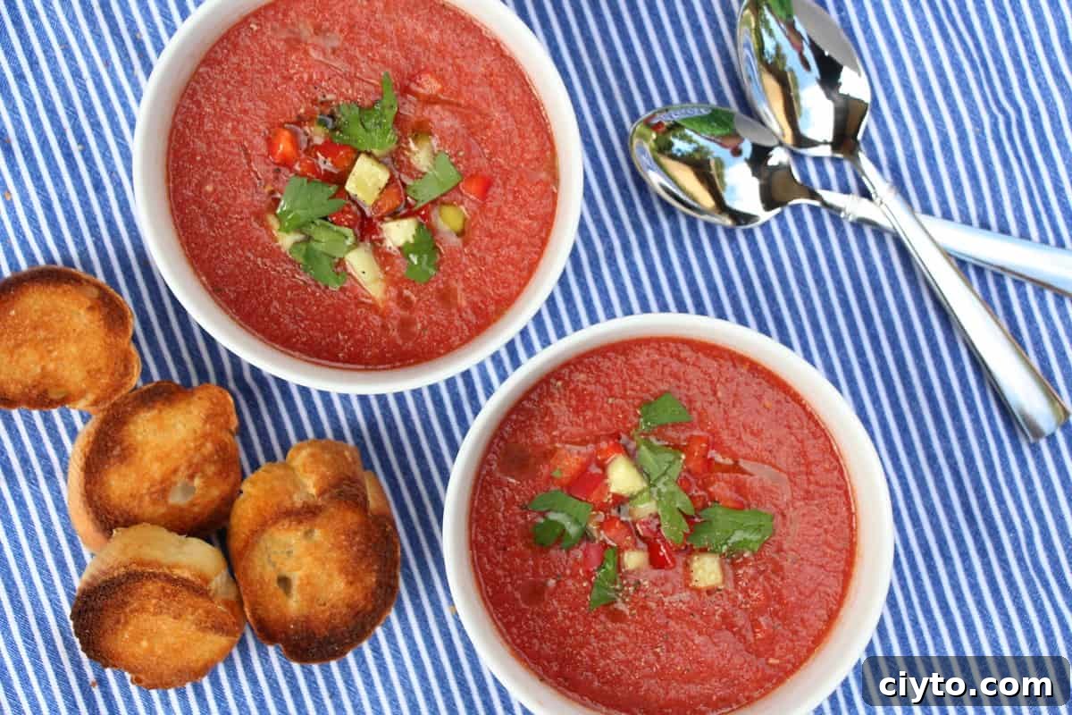 Summer Tomato Gazpacho with Fresh Herbs 2 Summer Gazpacho