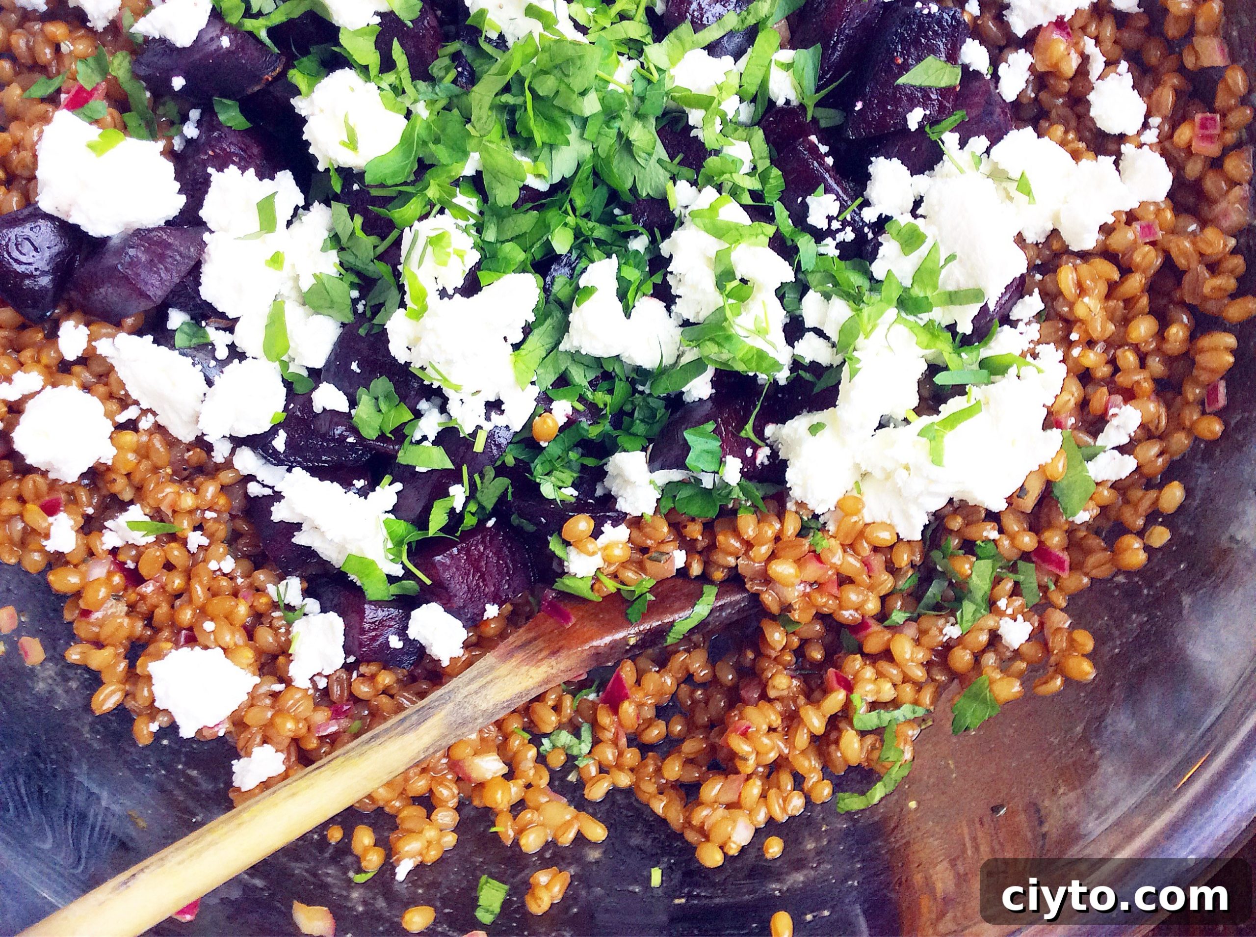 Balsamic Wheatberry Salad with Beets and Goat Cheese
