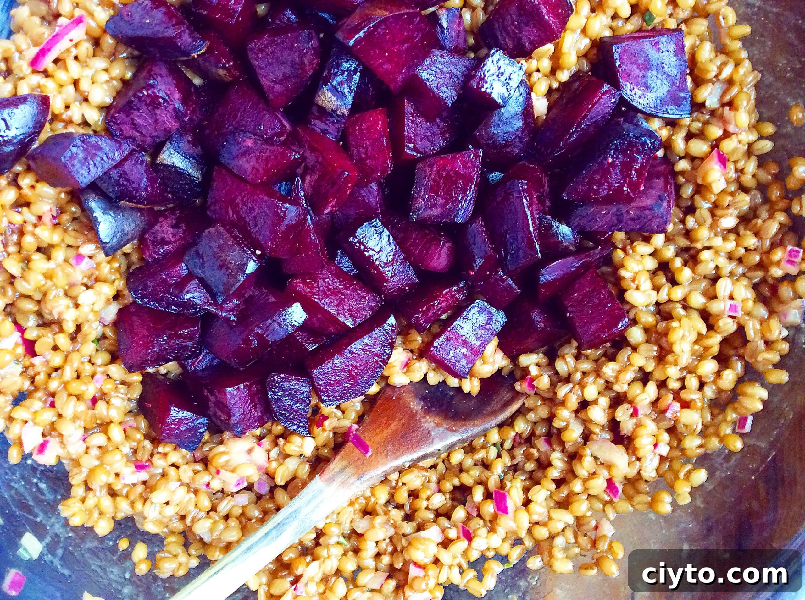 Balsamic Wheatberry Salad with Beets and Goat Cheese
