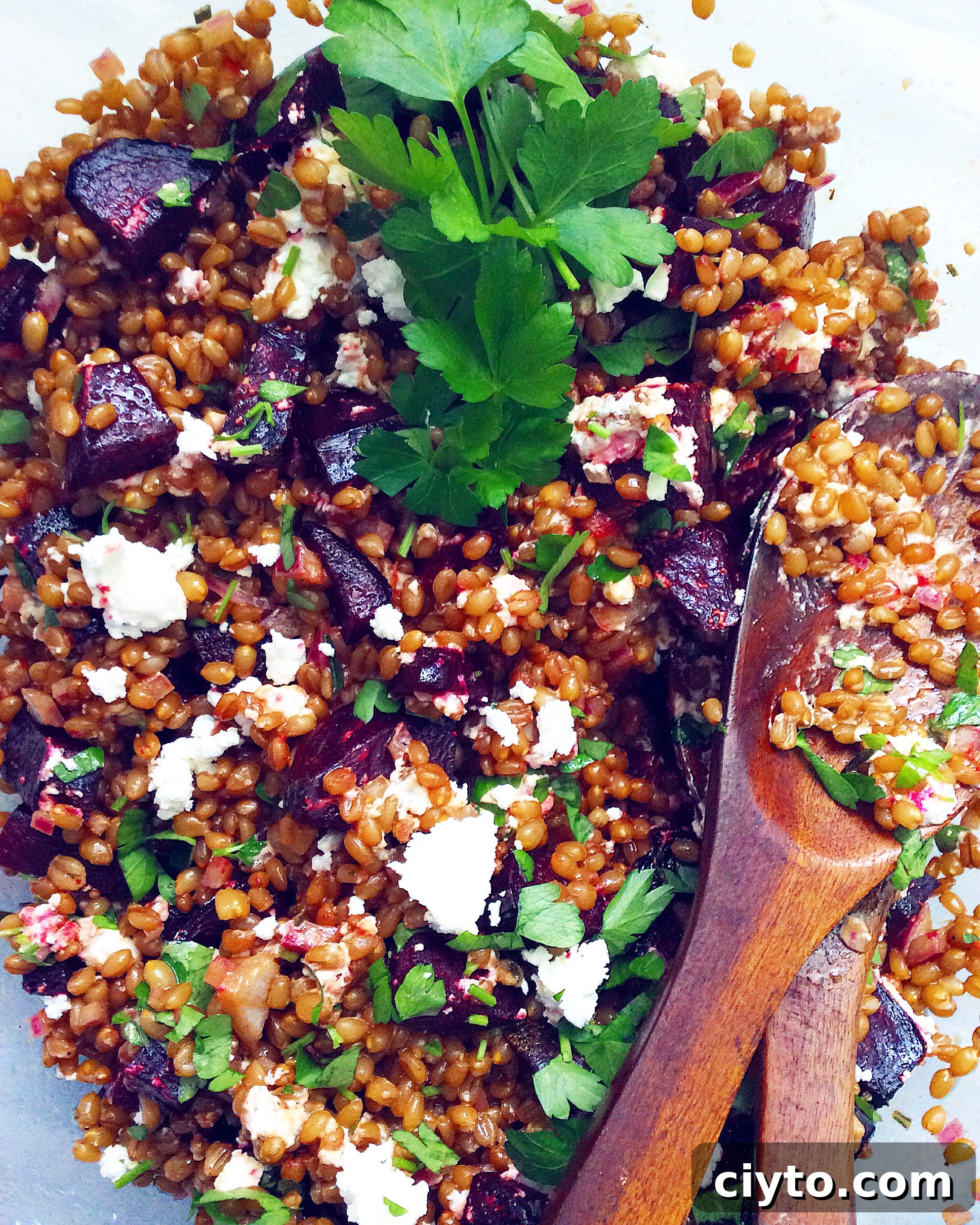 Balsamic Wheatberry Salad with Beets and Goat Cheese