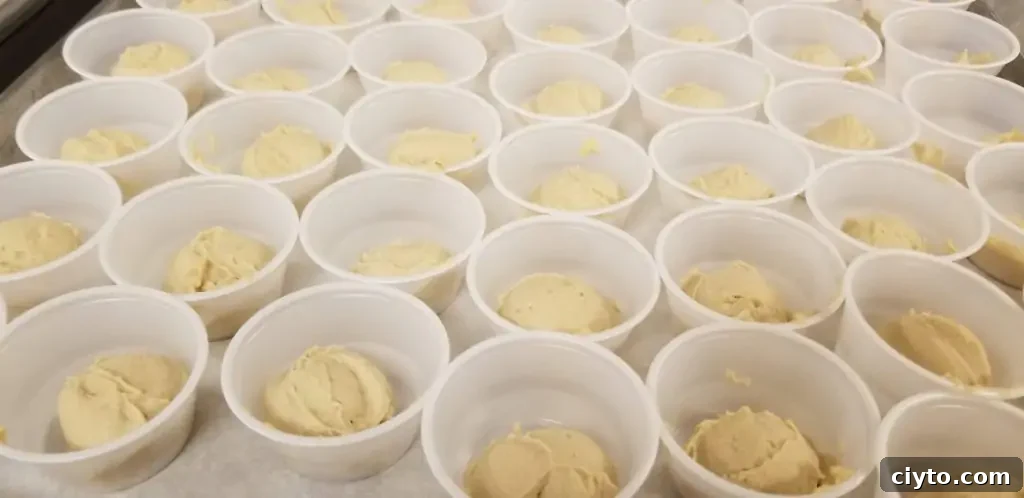 Flavorful Classic Hummus