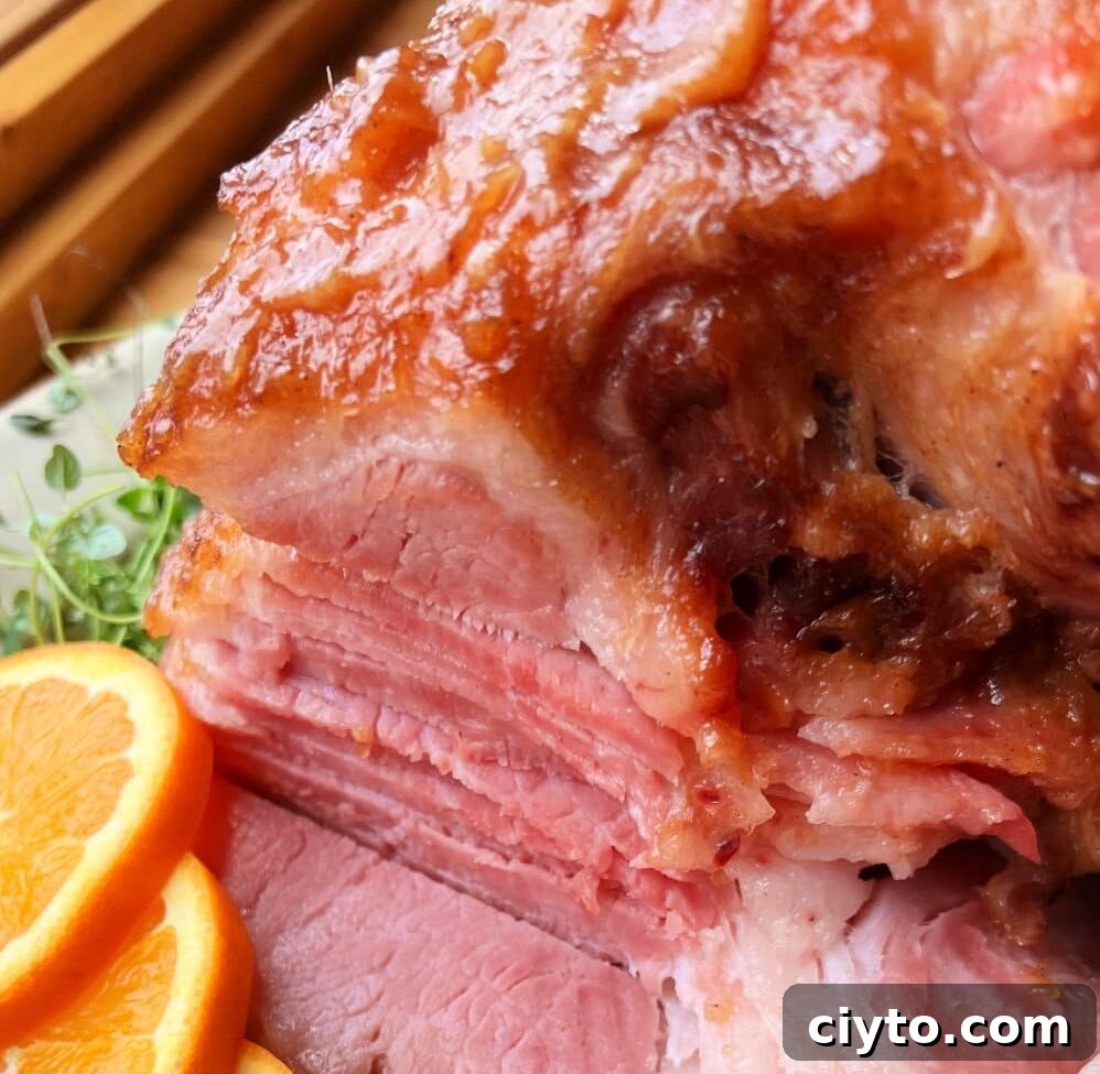 Ham In A Roaster Oven