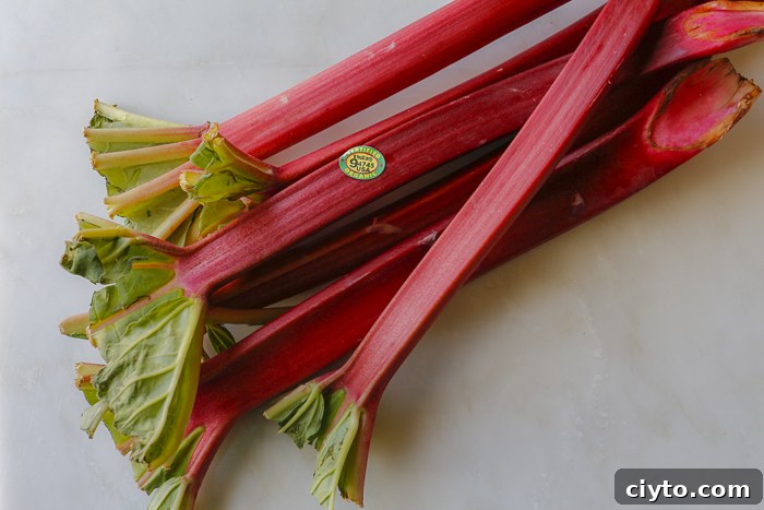 Beautiful Organic Rhubarb Stalks