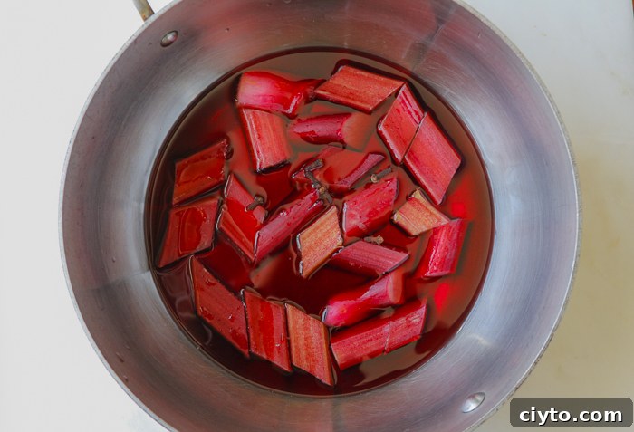 Making Rhubarb Vinegar with Rhubarb, Red Wine Vinegar and Cloves