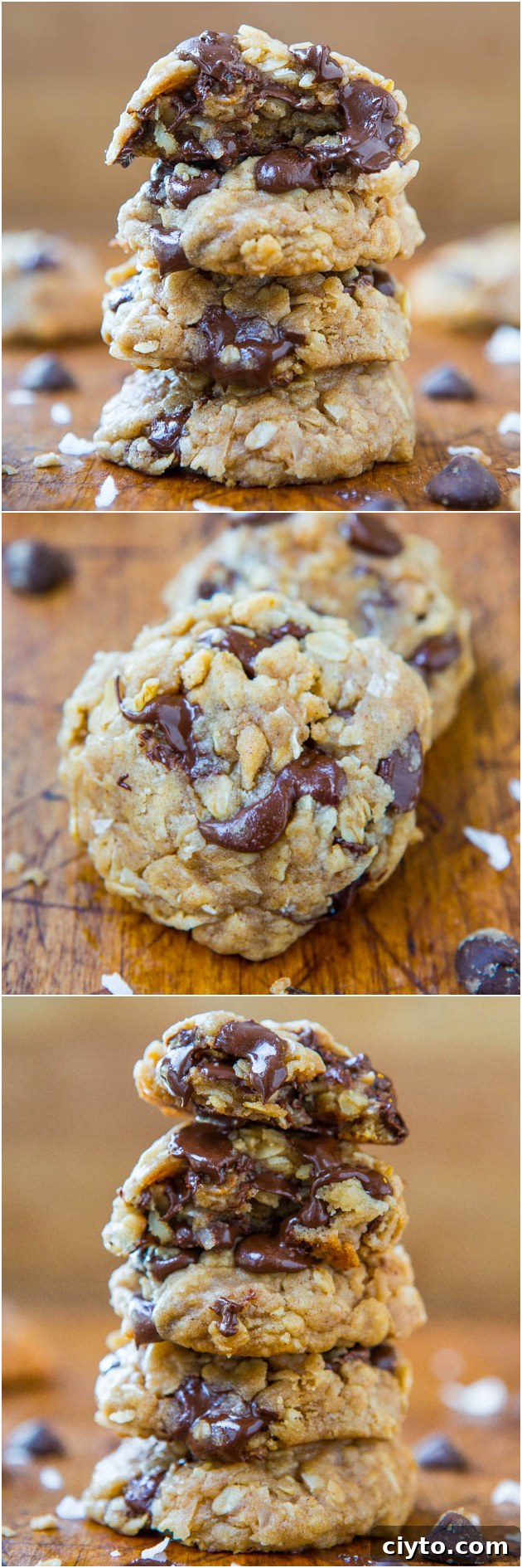 Oatmeal coconut chocolate chip cookies close up