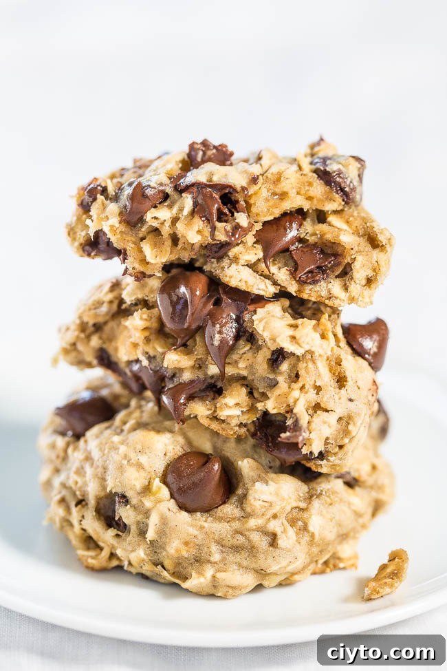 Banana oatmeal chocolate chip cookies