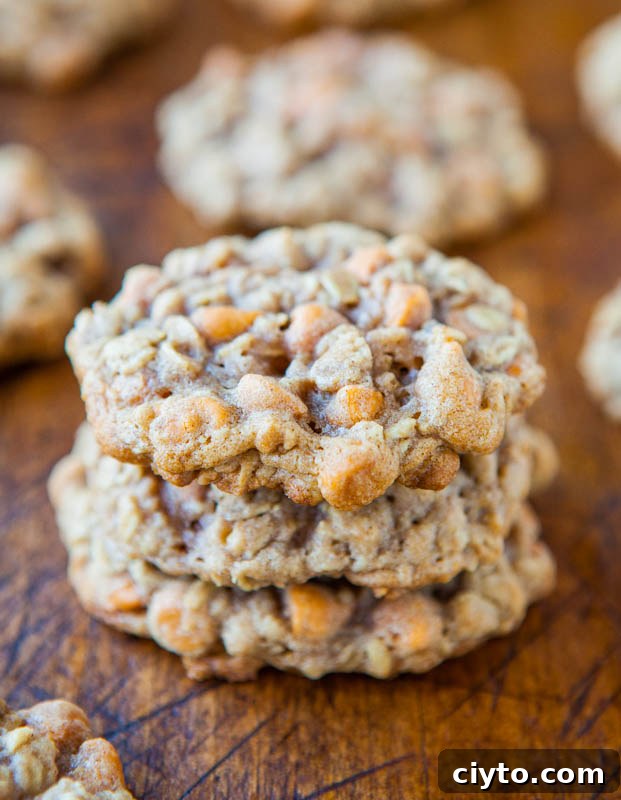 Soft and chewy oatmeal scotchies cookies