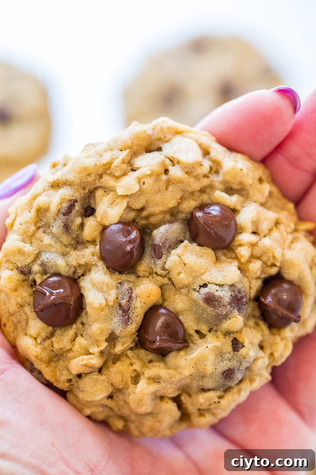 One-bowl no-mixer no-chill oatmeal cookies
