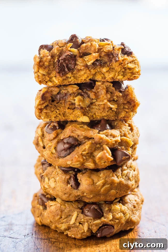 Soft and chewy pumpkin oatmeal chocolate chip cookies