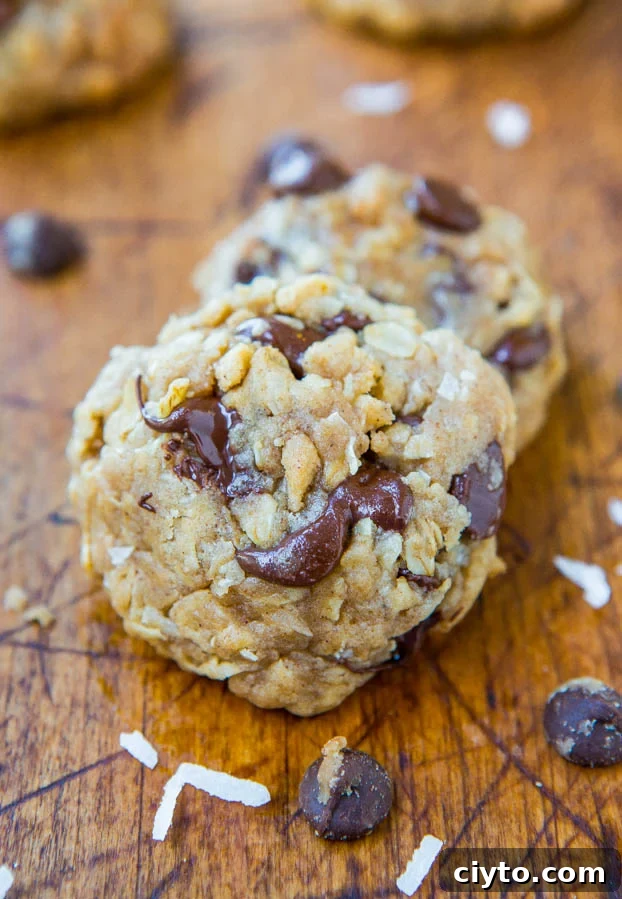 Oatmeal coconut chocolate chip cookies with melted chocolate