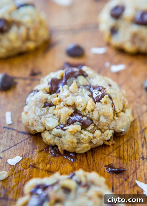 Ingredients for oatmeal coconut chocolate chip cookies