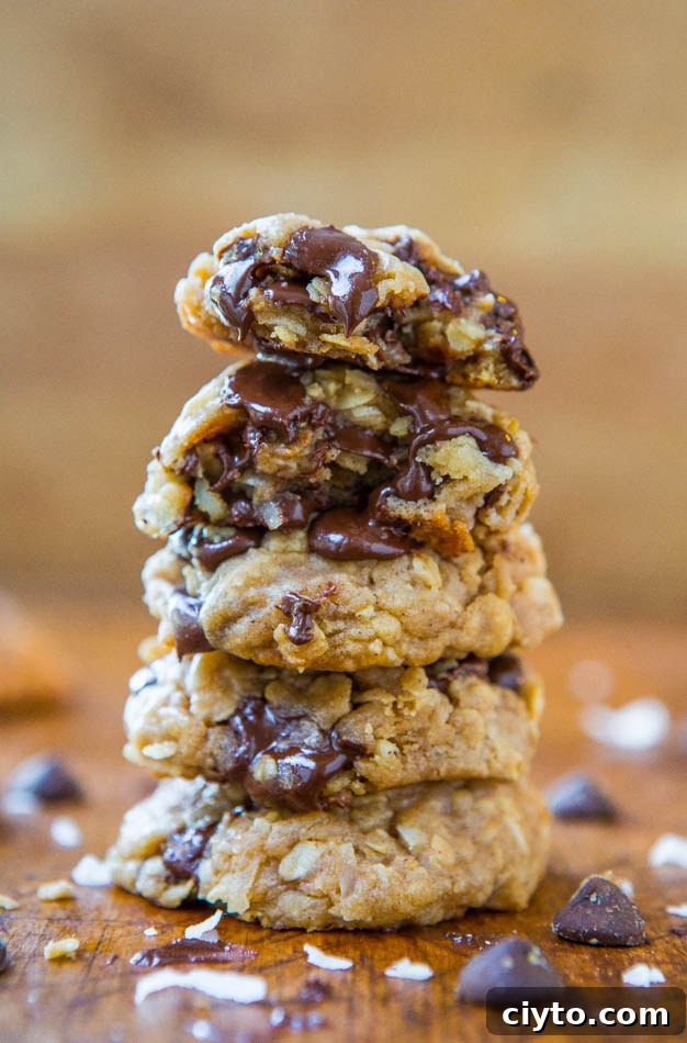 Soft oatmeal coconut chocolate chip cookies with chocolate chips