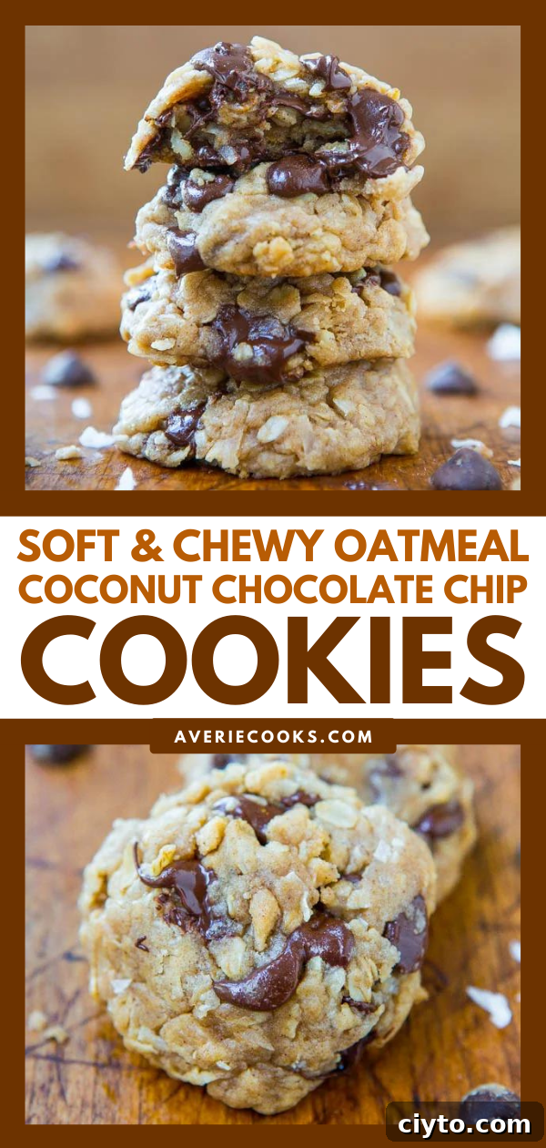 Oatmeal coconut chocolate chip cookies recipe image