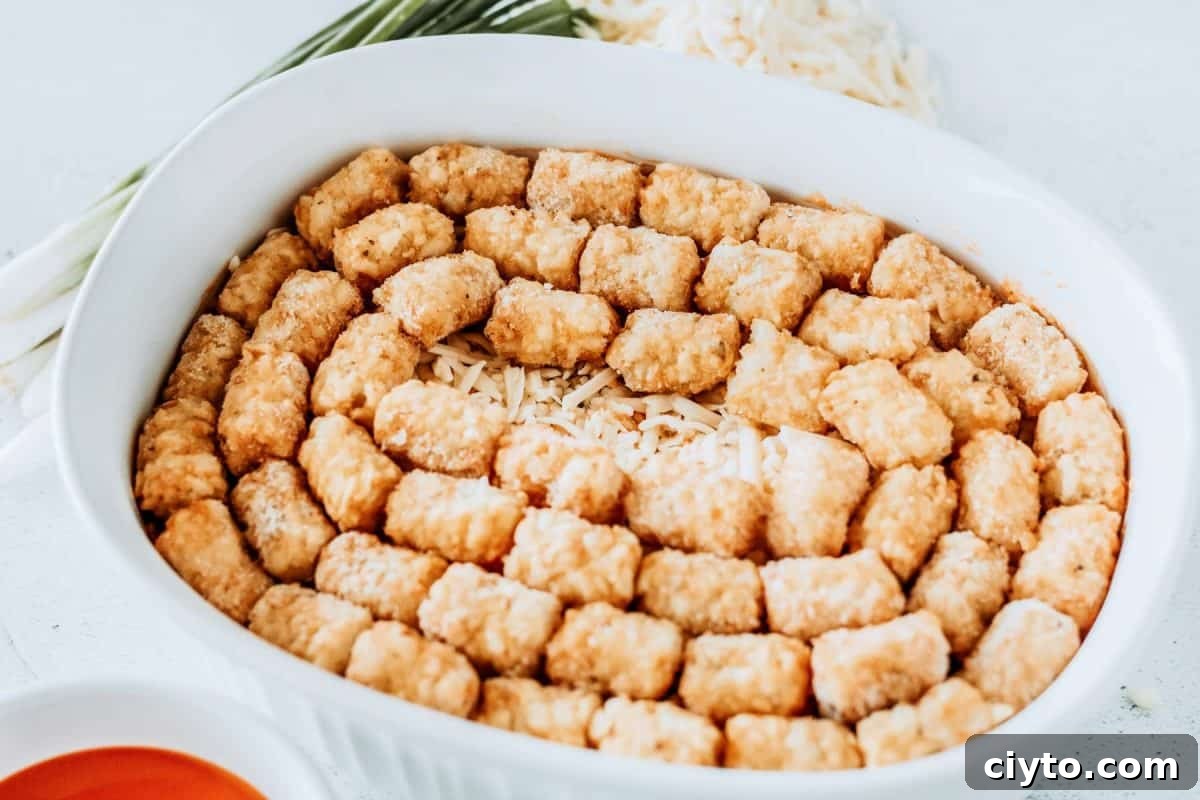 add tater tots until cheese is covered