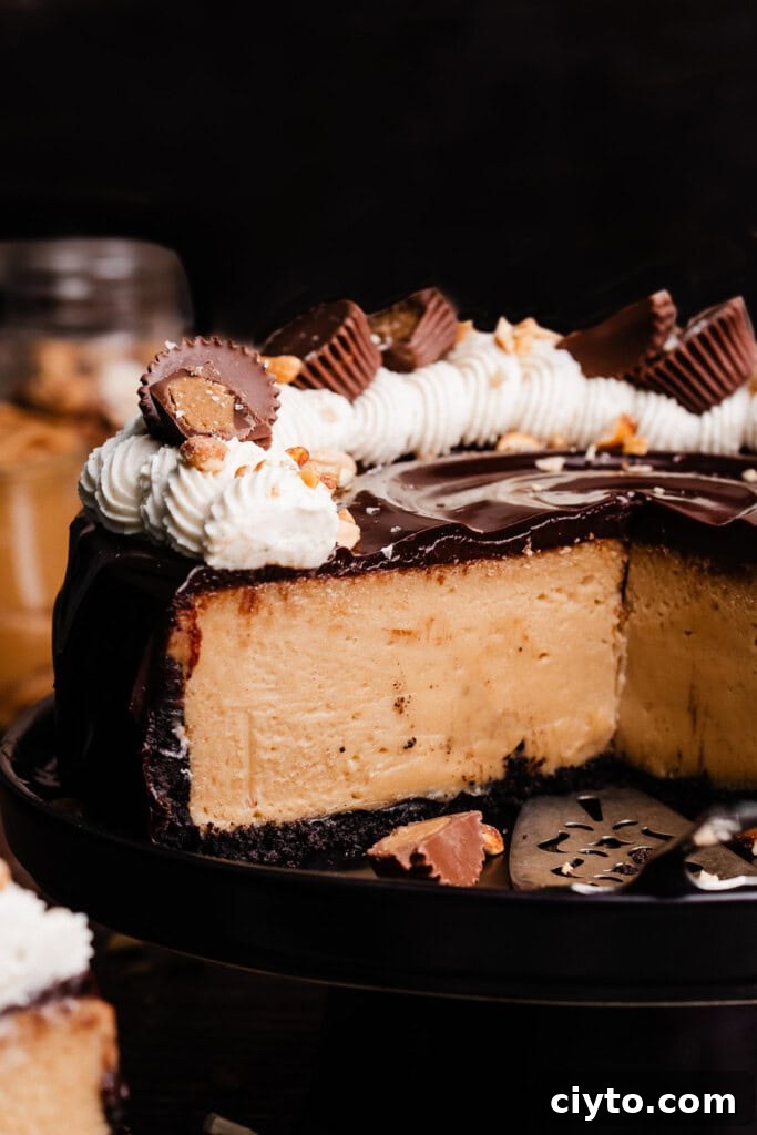 A close-up of the sliced peanut butter cheesecake.