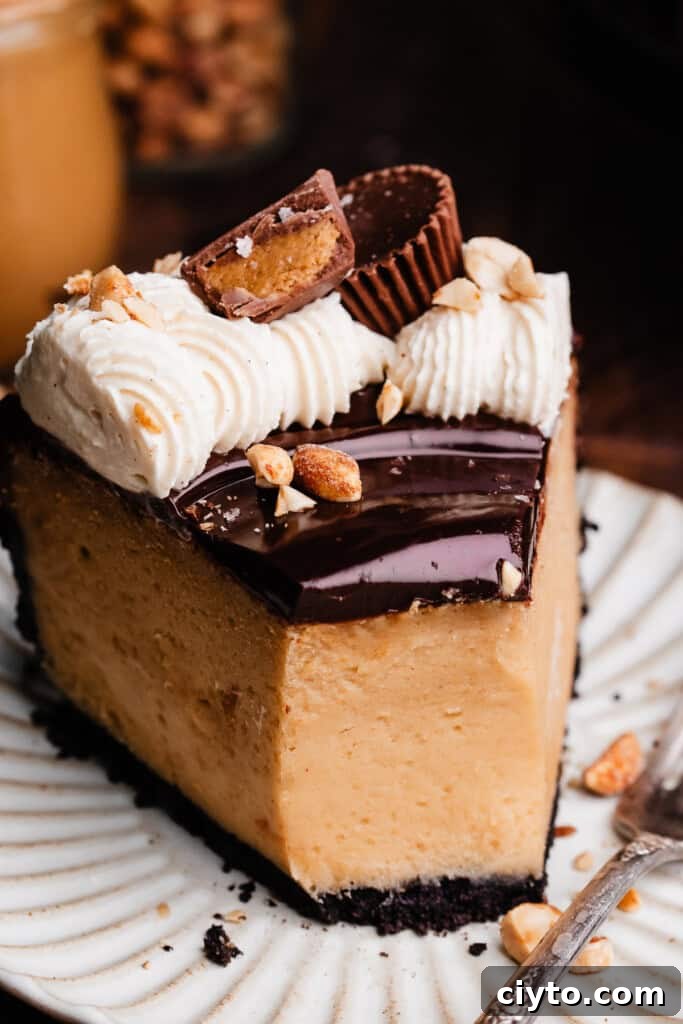 A slice of peanut butter cheesecake on a plate, with a bite missing.