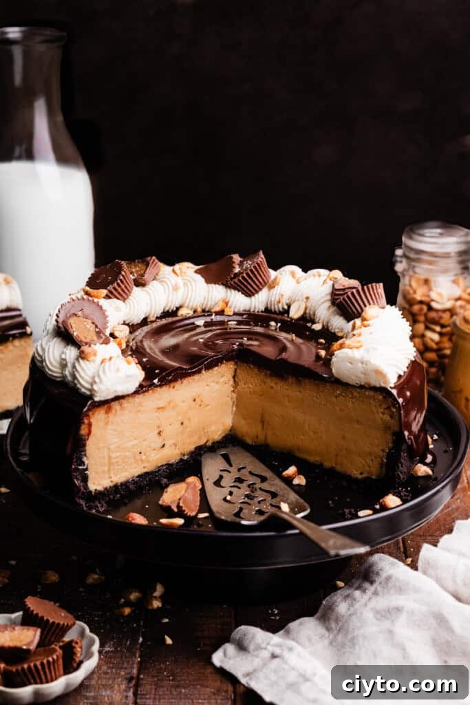 A 3/4 angle view of the sliced cheesecake, with ganache and whipped cream on top.