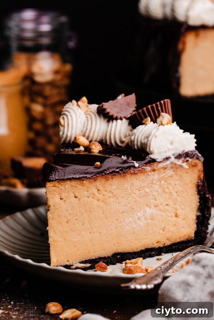 A full slice of peanut butter cheesecake on a plate.
