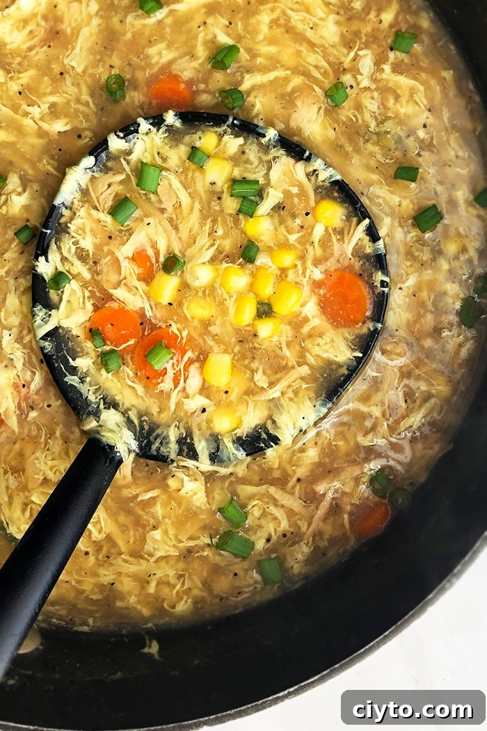 Chinese Chicken and Corn Soup 