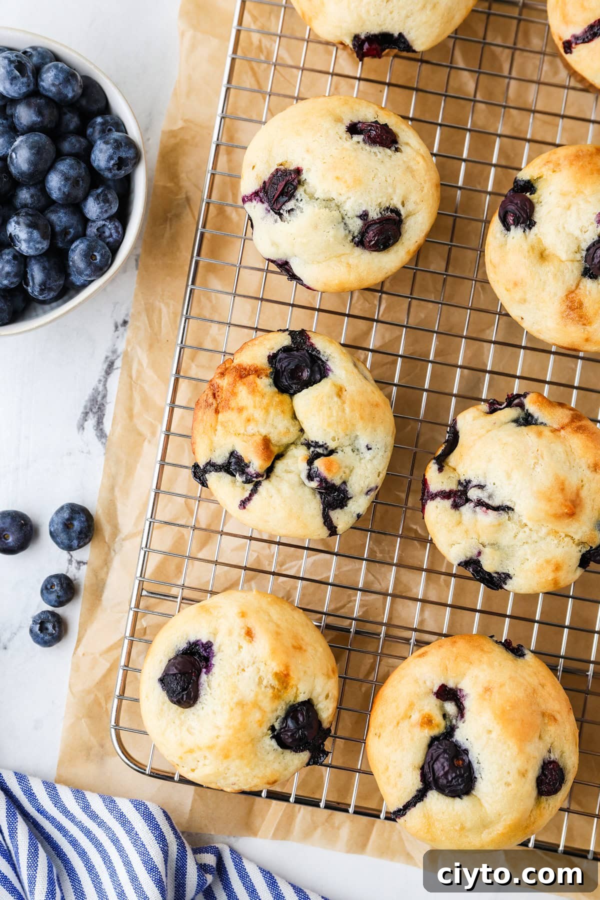 An overhead image of cottage cheese blueberry muffins.