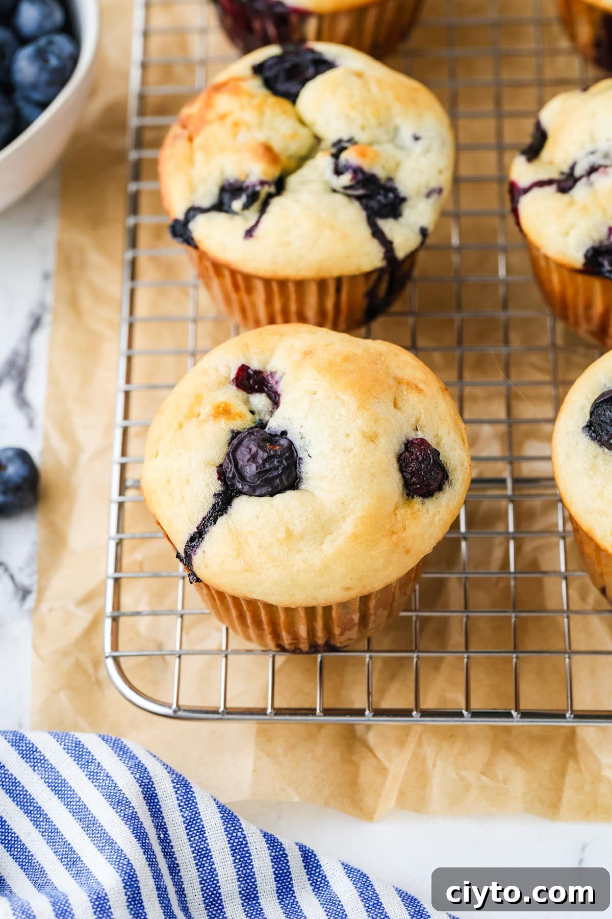 A close up image of a cottage cheese blueberry muffin.