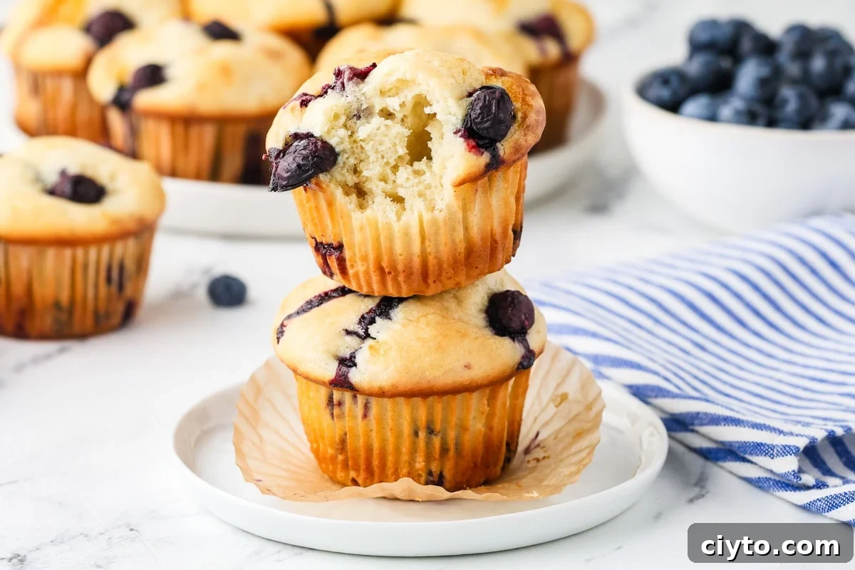 A close up image of cottage cheese blueberry muffins on a plate.