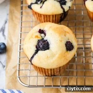 A close up image of a cottage cheese blueberry muffin.