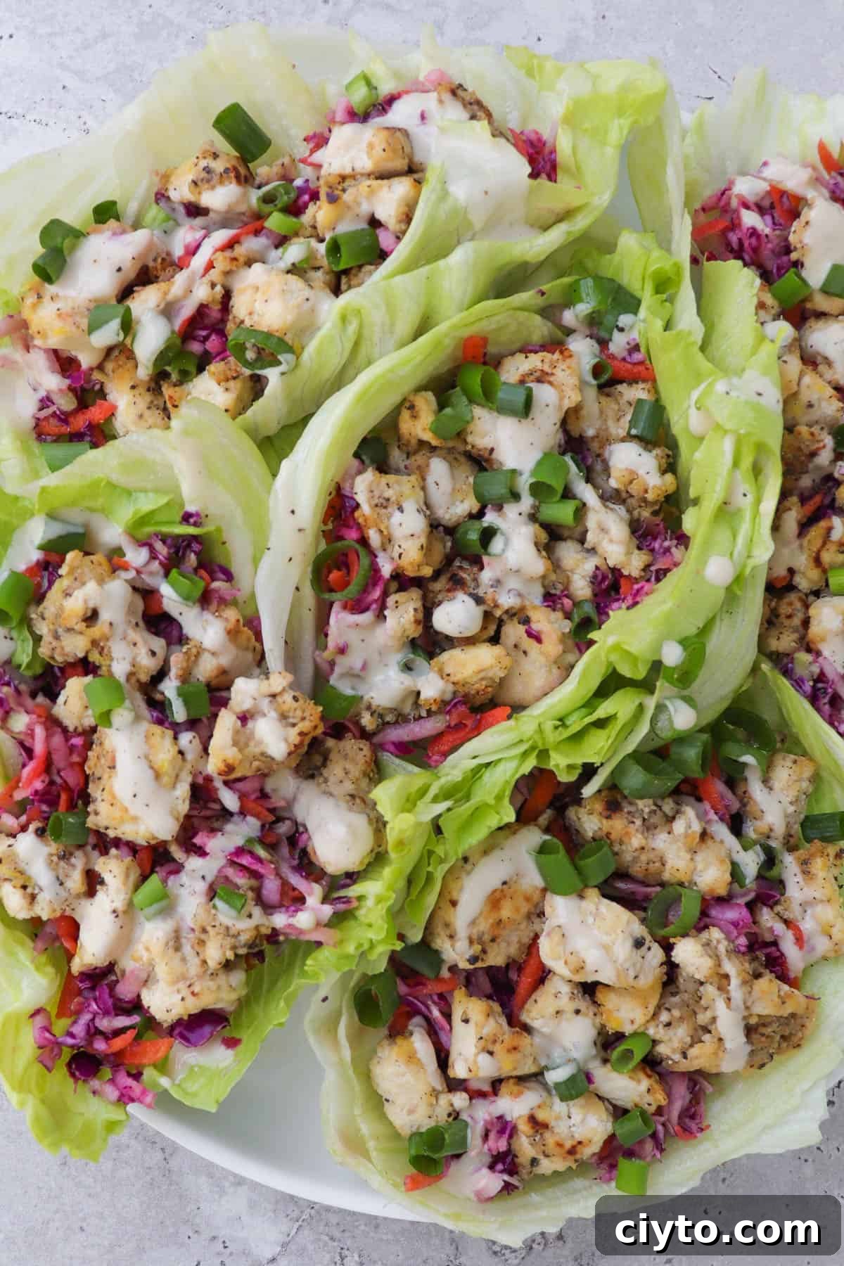 Close up of tofu lettuce wraps with slaw and tahini sauce.