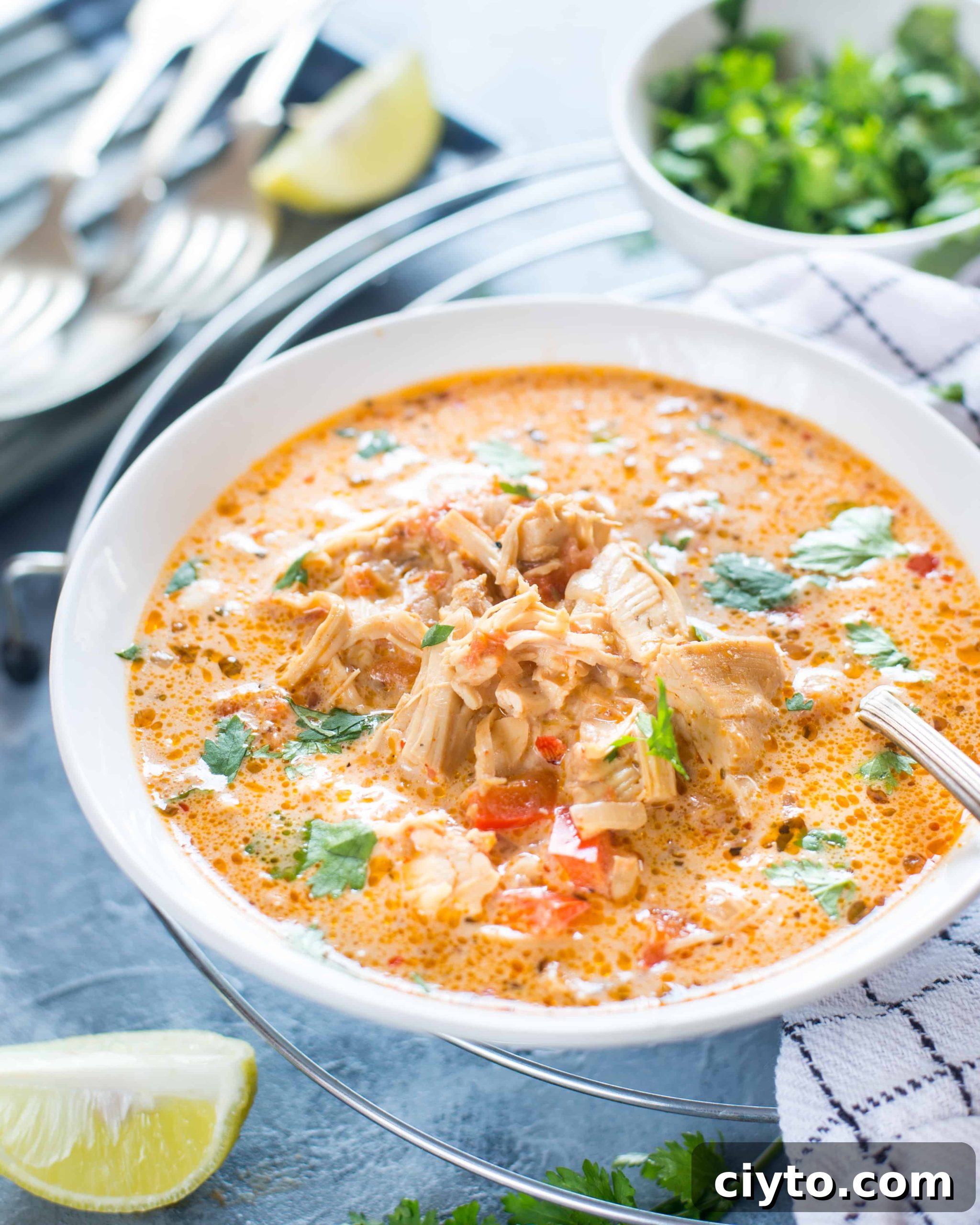 low carb slow cooker mexican chicken soup